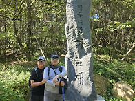 포암산