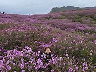 황매산