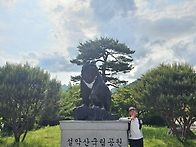 살악산2