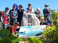 포암산