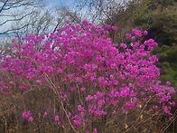 성감대 번개산행 사진