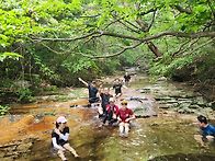 백운산,영취산 26.7.18