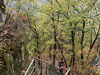 청량산