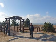 안면도