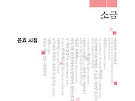 윤효 시집 / 소금(애지시선..