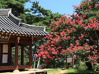 기러기아빠