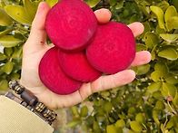 가을철 몸에좋은 농산물 ..