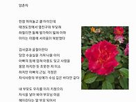 애착심