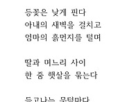 보랏빛 등꽃 아래..