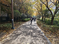 부산정우산악회(2025년11..