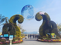 마산 국화축제 _()_