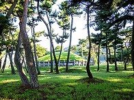 경주 헌덕왕릉