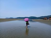 20260619 예단포둘레길.무..