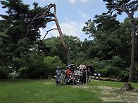 20260728 홍릉숲