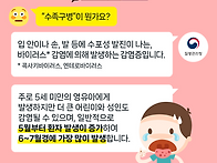 수족구병 안내