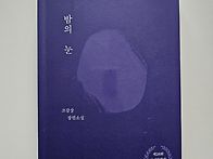 밤의 눈