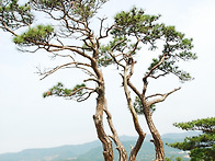 대한민국 구석구석...도봉..