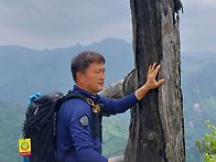 도락 도락
