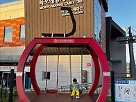 제 503회/정기산행(전남,목포/고하도,유달..