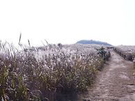  제507회/정기산행(경주/무장산624m)26..