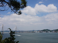 제 505회/정기산행(경남,함양/대봉산)26..