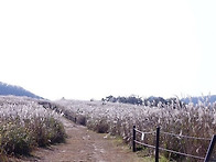  제507회/정기산행(경주/무장산624m)26..
