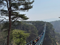 제489회(정기산행)강원도,원주/소금산(25..