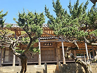 고산 윤선도의 추원당이야기
