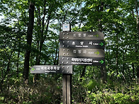 5월넷째주[5월26..