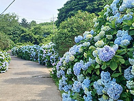 7월둘째주 [7월1..