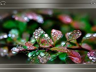 겨울에 그리는 수채화 배경..