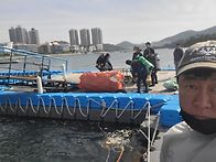 5월 정모