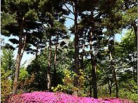 서울숲
