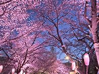 26 04 06 석촌호수야경