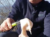 하늘릿지2