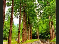 제 415차 군산 (선유도) 논산(온빛자연휴양..