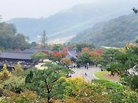 특별산행