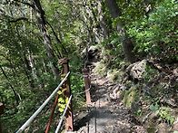 제 410 차 봉화 청량산(870m) 산행안내
