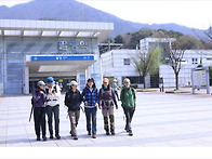 예봉산 진달래