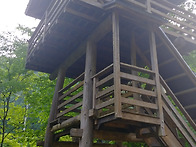 일본 통나무학교