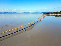 2026/ 5월9일 토요일.전남..