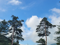 서룡산
