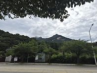 삼포대장님 이랑 즐거운날..