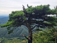 8월 광덕산 정산