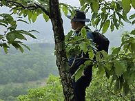 팔봉산2