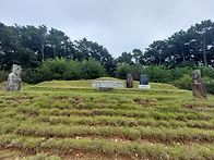 (문신) 이조좌랑 김안세 ..