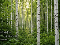 [260716]인제 속삭이는 자..