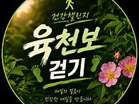 [260522]하루 육천보 걷기..