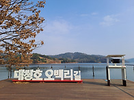 [241121]멈추는 곳이 쉼터..