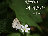 [260609]더불어 사는 세상..